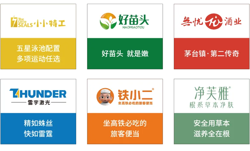 《品牌营销咨询案》——定战略 立品牌 推爆品