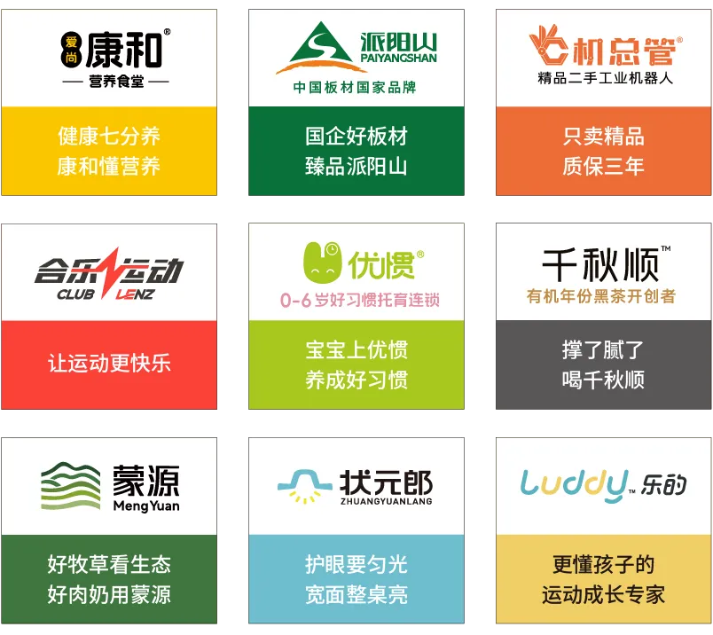 《品牌营销咨询案》——定战略 立品牌 推爆品