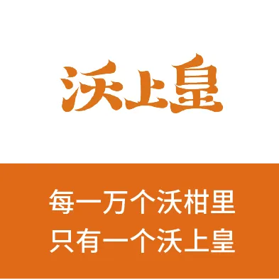 《品牌营销咨询案》——定战略 立品牌 推爆品