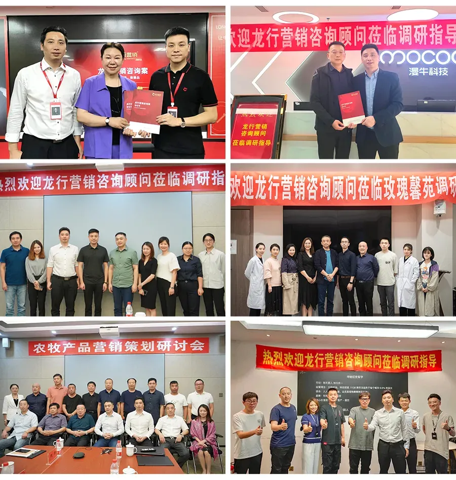 《品牌营销咨询案》——定战略 立品牌 推爆品