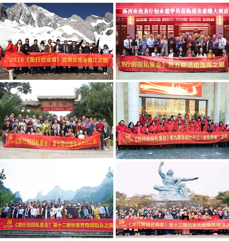 《品牌营销咨询案》——定战略 立品牌 推爆品