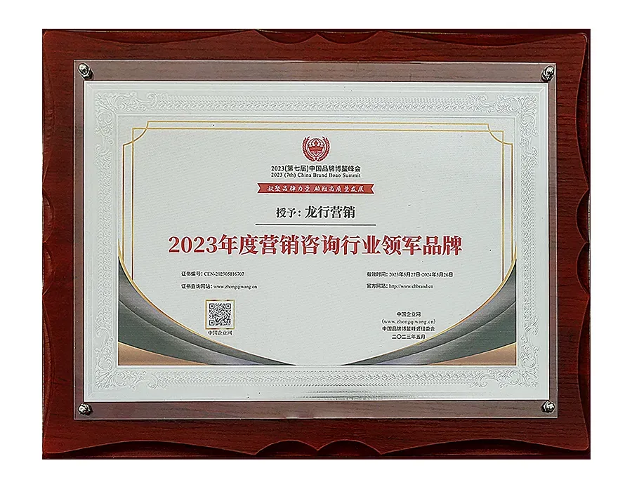 《品牌营销咨询案》——定战略 立品牌 推爆品