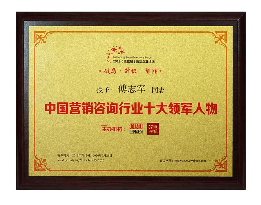 《品牌营销咨询案》——定战略 立品牌 推爆品