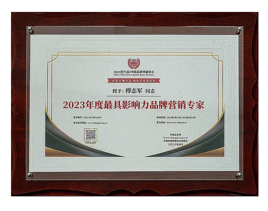 《品牌营销咨询案》——定战略 立品牌 推爆品