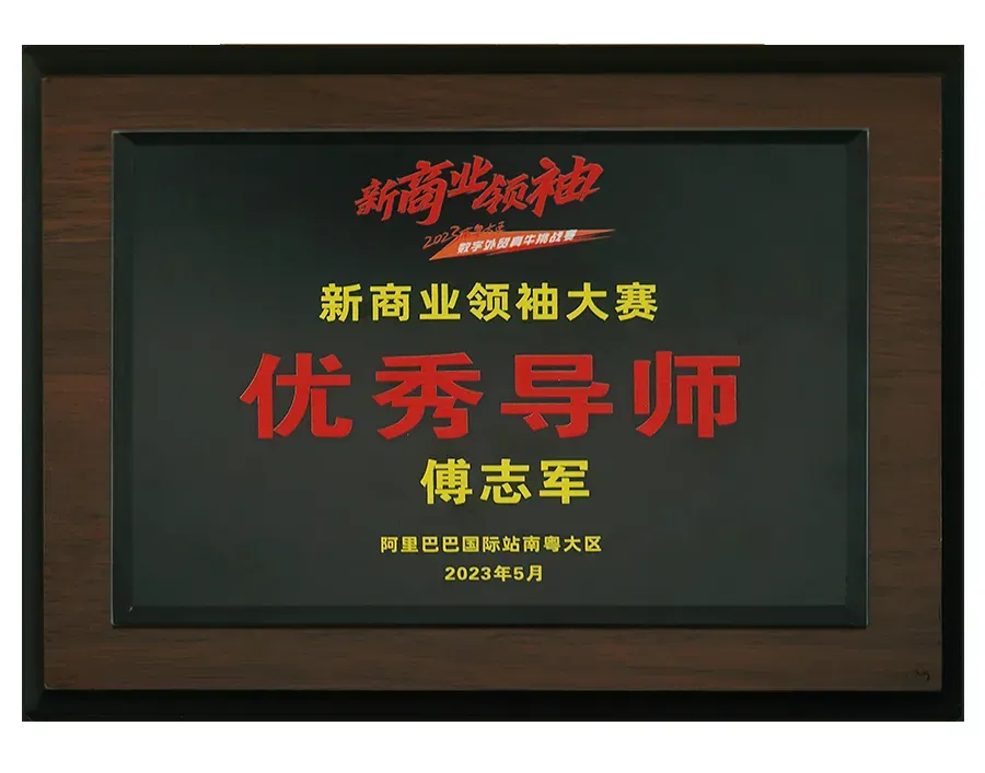 《品牌营销咨询案》——定战略 立品牌 推爆品