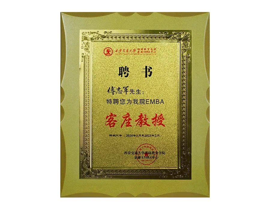 《品牌营销咨询案》——定战略 立品牌 推爆品