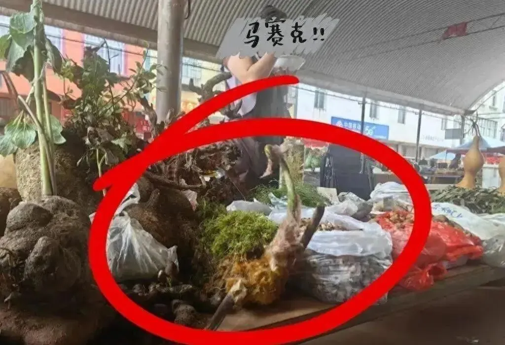 云南市场惊现“金毛狗”,4株引发大案,背后原因竟让人震惊!