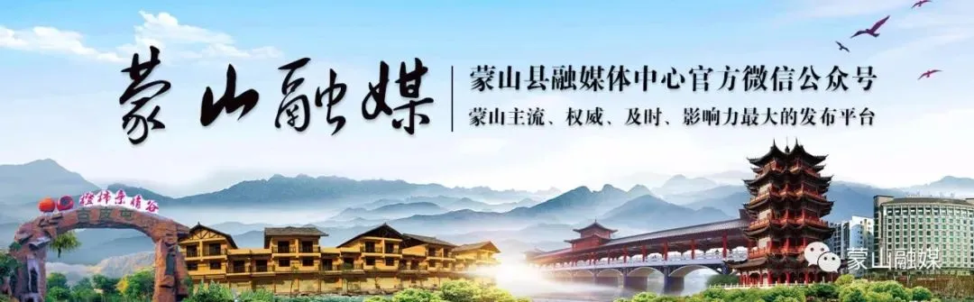 【春耕备耕】蒙山苗木市场 “燃” 动春耕活力