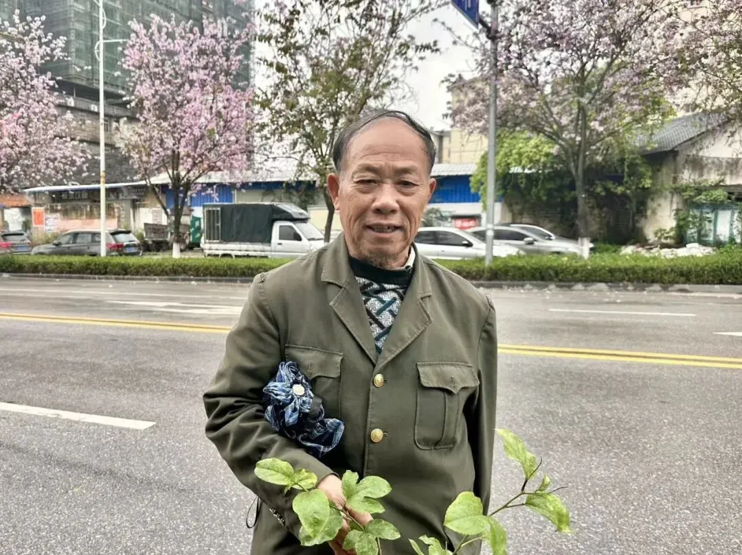 【春耕备耕】蒙山苗木市场 “燃” 动春耕活力