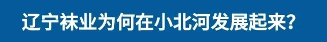 市场资讯 | 辽宁袜业为何在小北河发展起来?