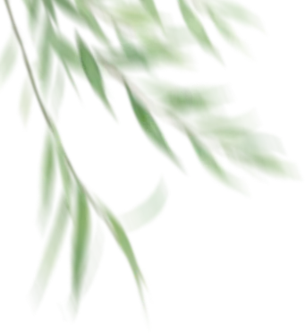 清明期间殡葬行业市场价格行为提醒告诫书