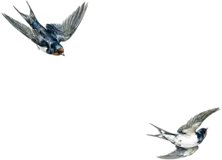 清明期间殡葬行业市场价格行为提醒告诫书