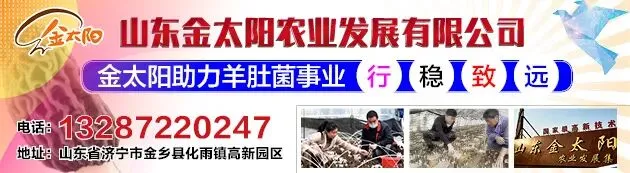 2026年3月全国批发市场四个食用菌品种价格走势简析