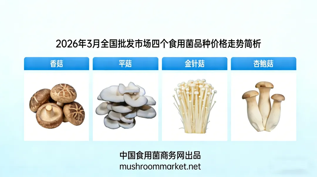 2026年3月全国批发市场四个食用菌品种价格走势简析