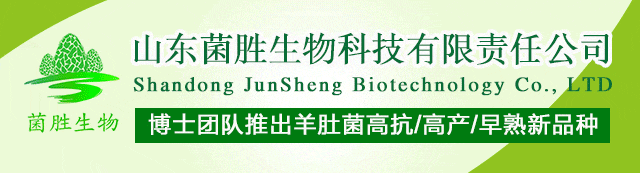 2026年3月全国批发市场四个食用菌品种价格走势简析