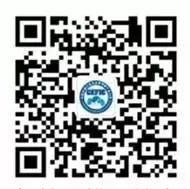 2026年3月全国批发市场四个食用菌品种价格走势简析