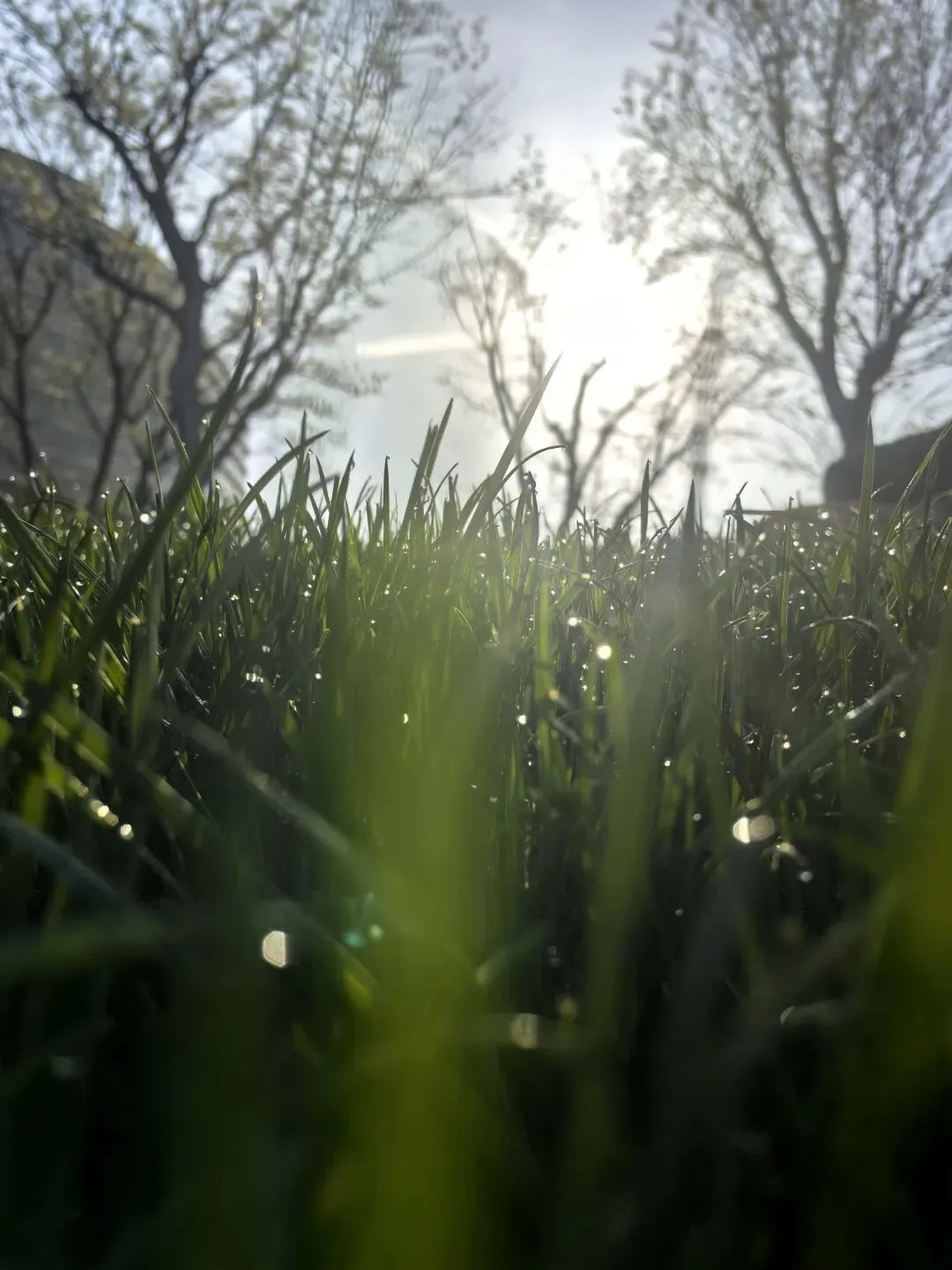 五星级酒店总经理:从“发号施令者”到“市场敏锐者”的进化之路