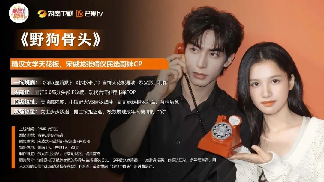 王鹤隶好帅!湖南广电2026年度平台营销通案!