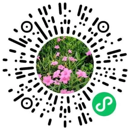 市场依然呈现弱势震荡