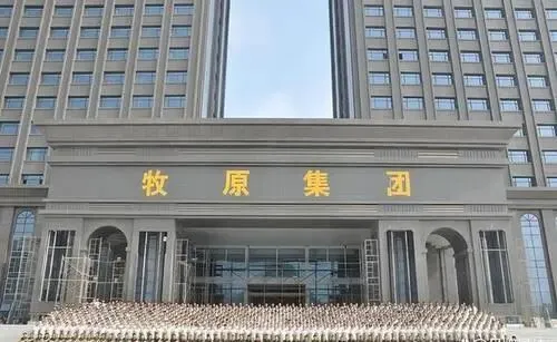 猪肉市场即将迎来四大变革:稳定、品质与自主可控的新生