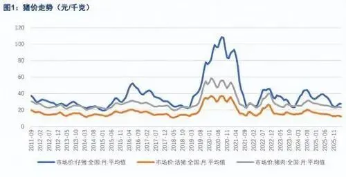 猪肉市场即将迎来四大变革:稳定、品质与自主可控的新生