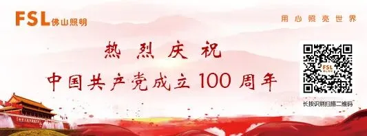 佛山照明营销第二党支部开展“学党史、感党恩、悟思想、开新局”主题党日活动