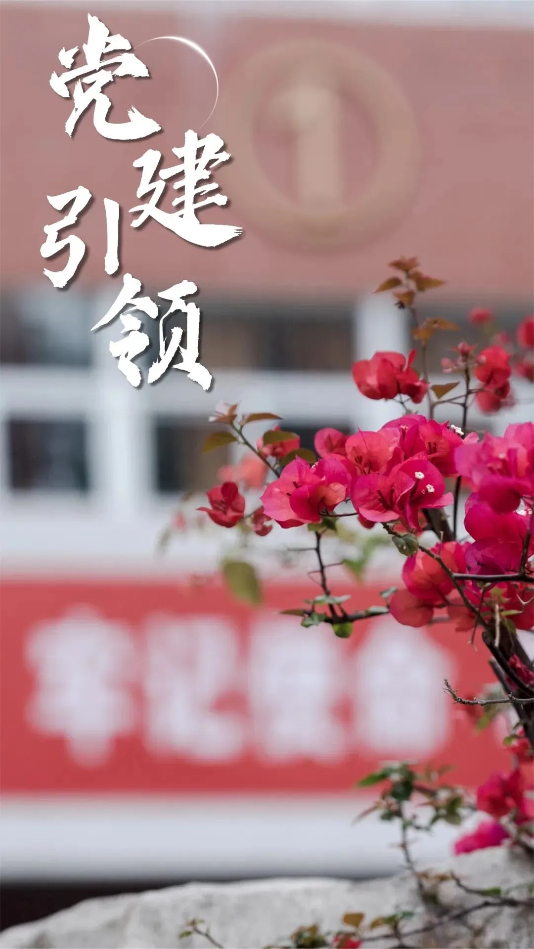 我校商务日语专业举行“海外营销TikTok直播电商”校企共育宣讲会