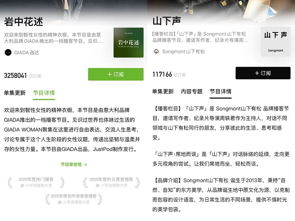 视频播客,品牌营销的新风口?