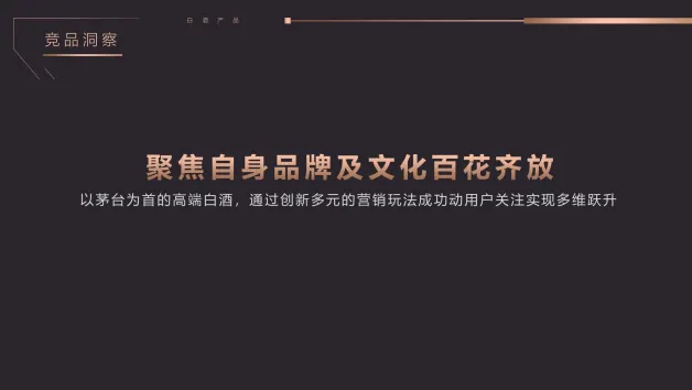 2025皇家山庄高端白酒全年年度活动营销规划方案(63P,PPTX)