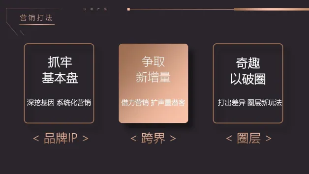 2025皇家山庄高端白酒全年年度活动营销规划方案(63P,PPTX)