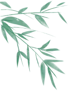 朝阳区市场监管局殡葬用品价格码上查公示信息