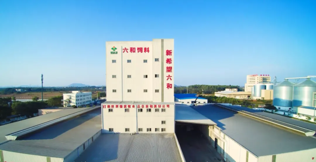 新希望六和招特水饲料销售精英,广东、广西、福建、海南均有岗