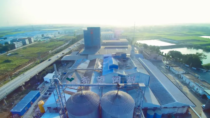 新希望六和招特水饲料销售精英,广东、广西、福建、海南均有岗