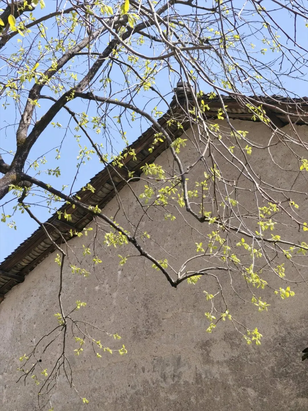 优益思事件暴露出所有销售型公司的采购风险