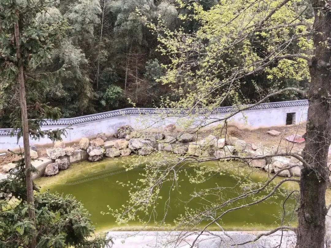 优益思事件暴露出所有销售型公司的采购风险