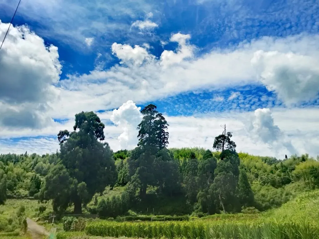 优益思事件暴露出所有销售型公司的采购风险