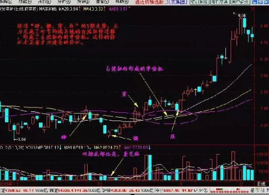 市场科技题材高歌猛进,现有30支科技细分领域龙头股蓄势待发,或是下轮牛股的集中营