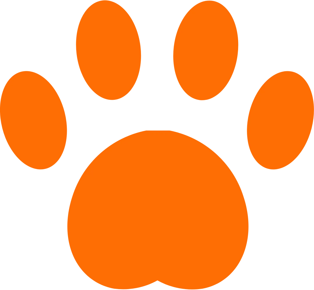 一起“趣”购物—川迪跳蚤市场开市啦