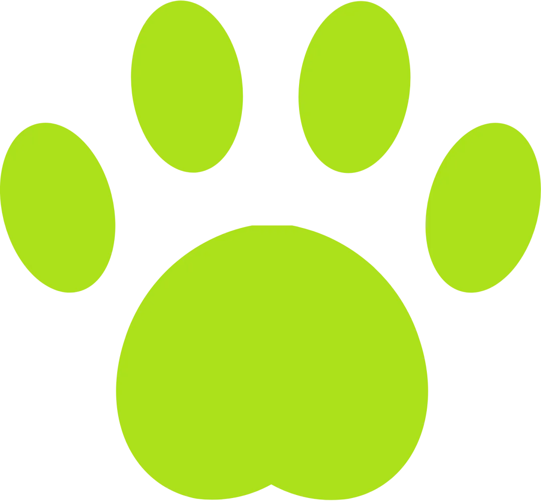 一起“趣”购物—川迪跳蚤市场开市啦