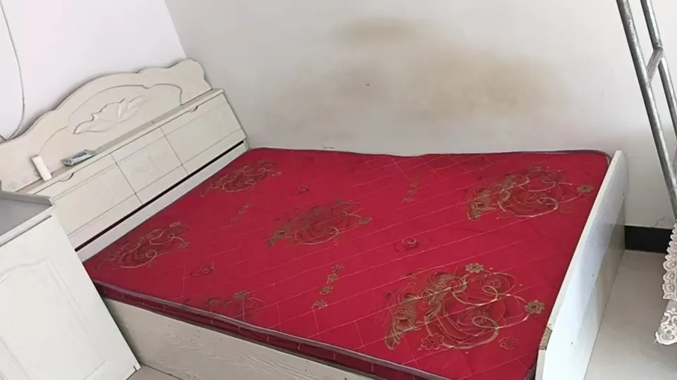 汤原买卖市场信息丨4月3日