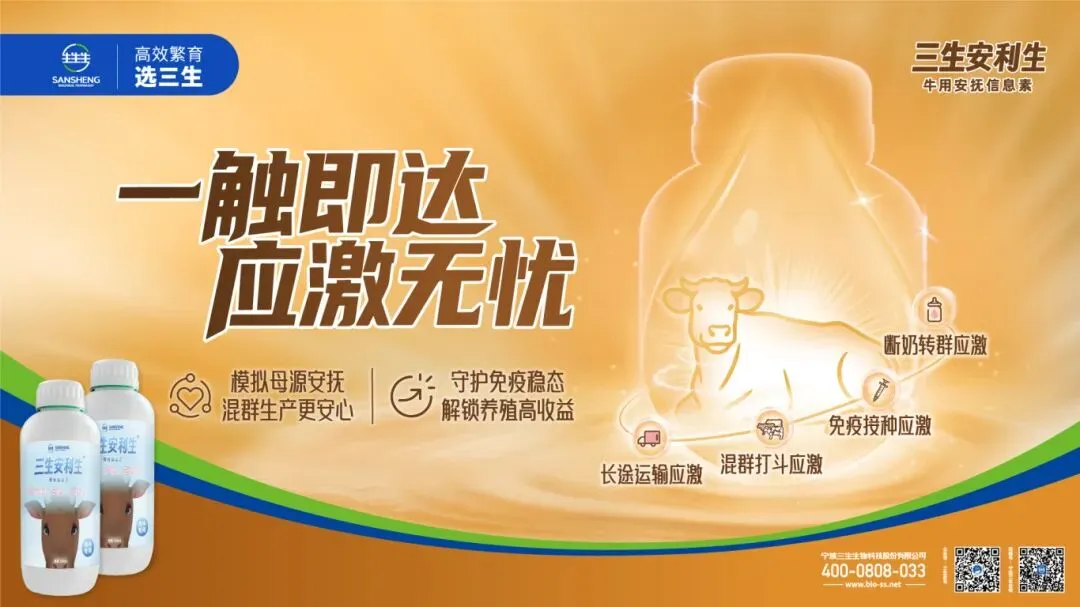 广南牛市:市场交易的肉牛达500头至600头 年交易金额可达4000万元