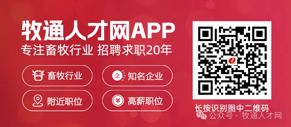 福利优渥、多岗齐招!上海邦成研发 & 营销 & 运营& 保障中心诚聘英才,应届/社招皆可