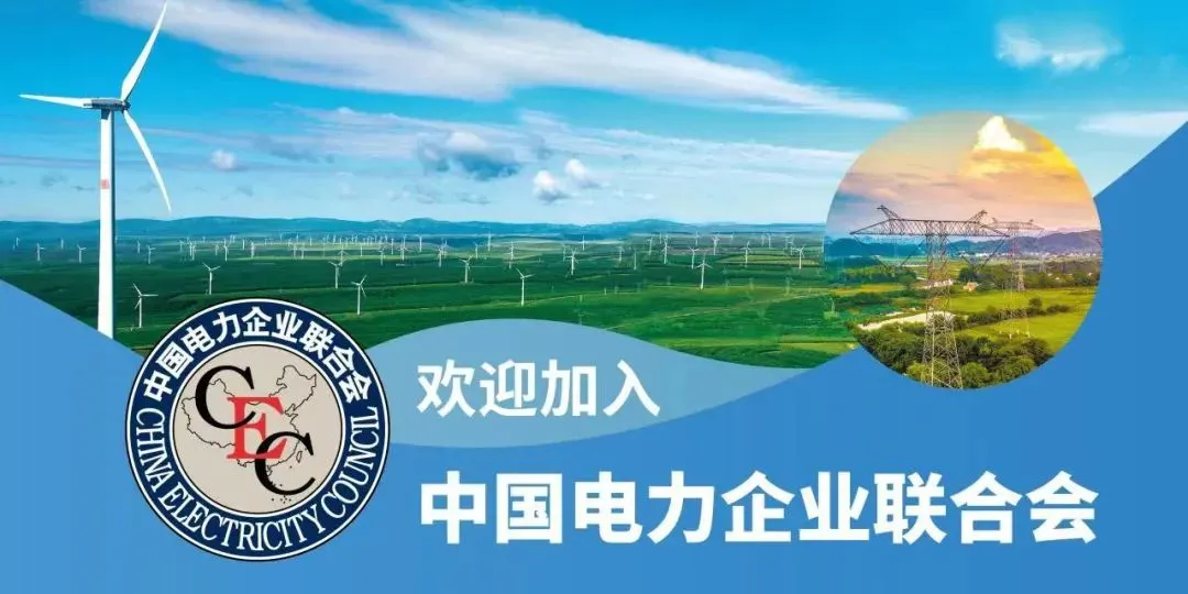 周末荐读 | 《电力辅助服务市场:理论与技术》