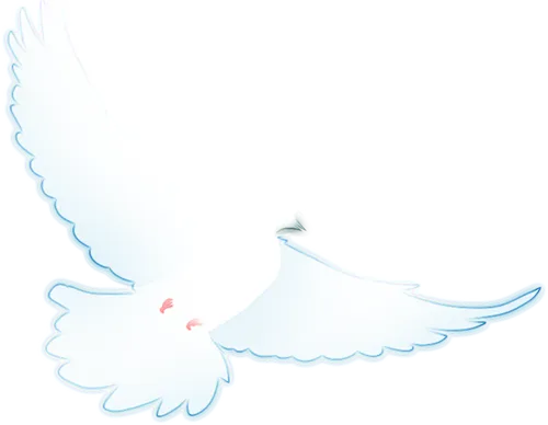 华侨大学计算机科学与技术学院2026年硕士研究生调剂复试录取工作实施细则