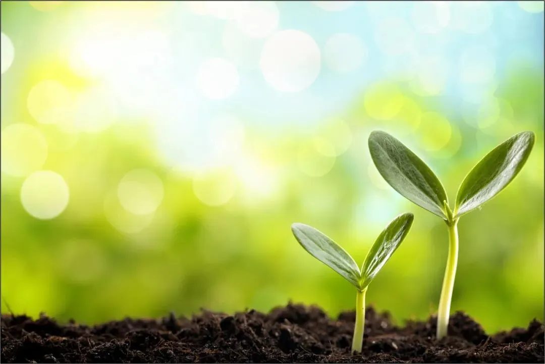 华为营销到底要怎么学?