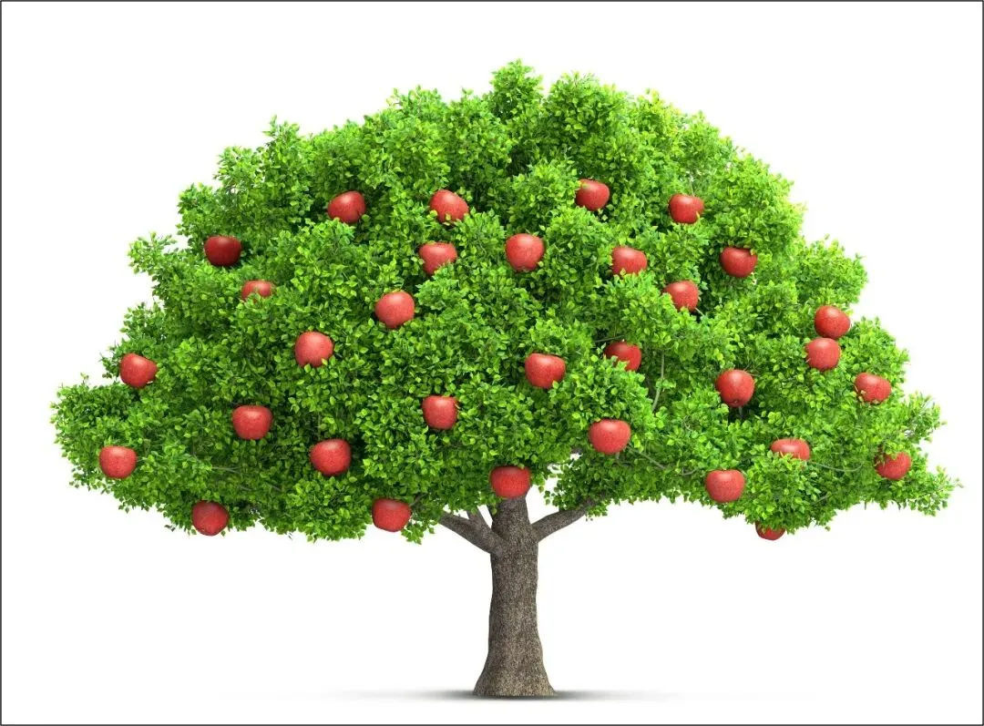 华为营销到底要怎么学?