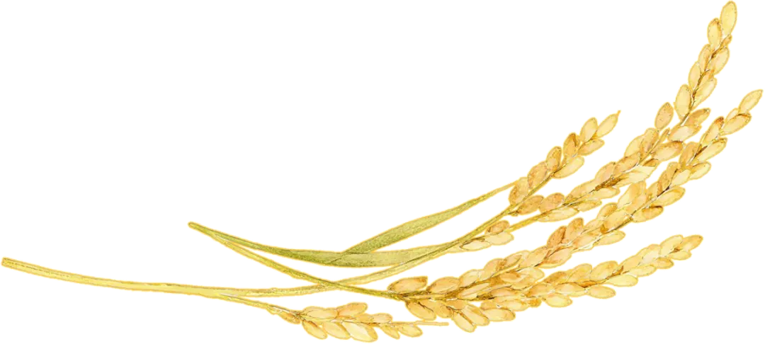 长江市场——鄂西小义乌,小溪塔人现在还会在这里买东西吗?