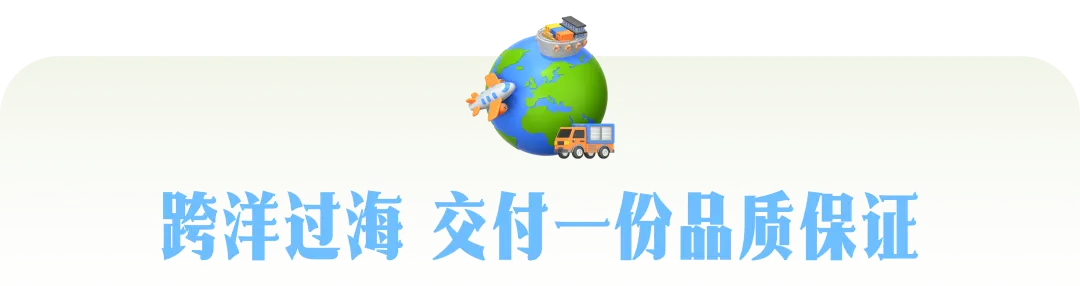 小小奇亚籽,撬动百亿级市场:全球奇亚籽创新应用前瞻