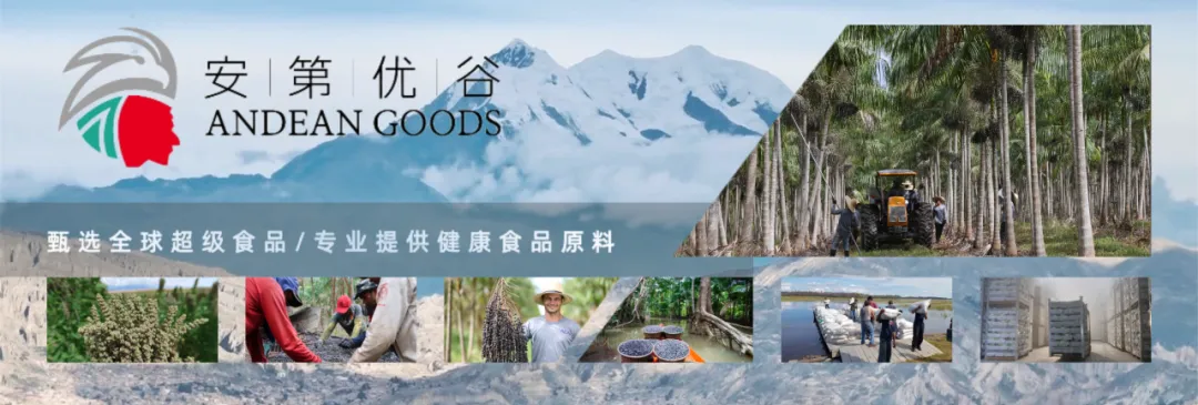 小小奇亚籽,撬动百亿级市场:全球奇亚籽创新应用前瞻