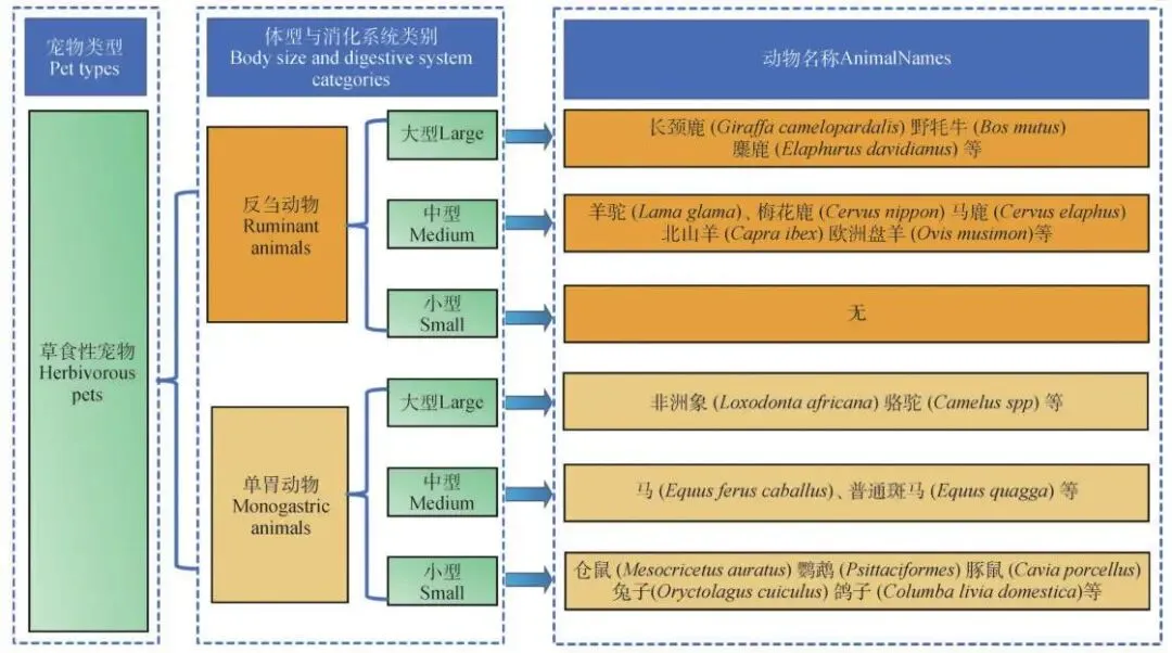 宠物饲草市场的潜力何在?